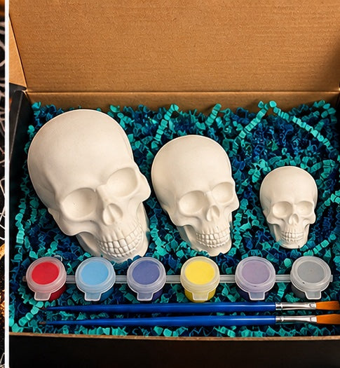 DIY Skull Painting Kit 💀🎨